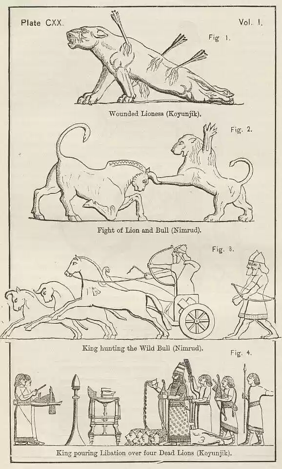 plate120